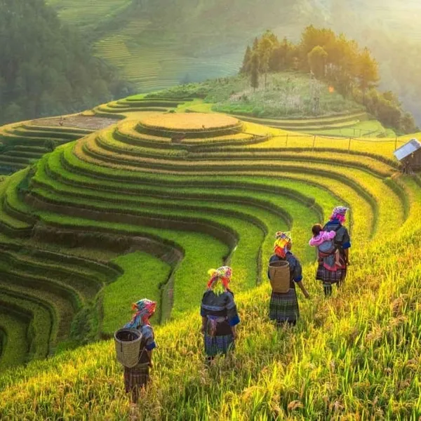 MỘT CÁI NHÌN VỀ MIỀN BẮC VIỆT NAM