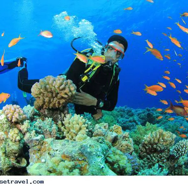Cham Island “Corals Paradise – Natural Masterpiece”