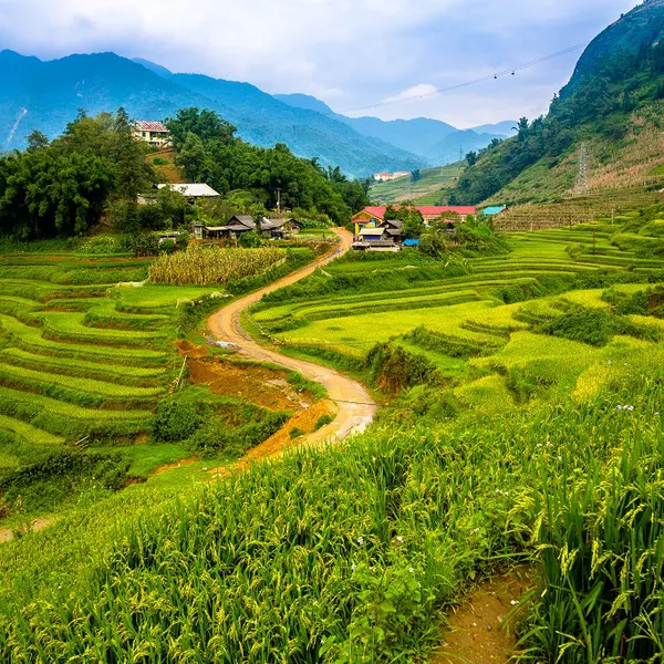 Lao Chai - Ta Van