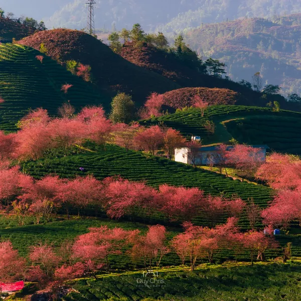 Sapa 2 Days Trekking with Mao's