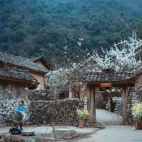 Ha Giang Loop 3 Days 2 Nights