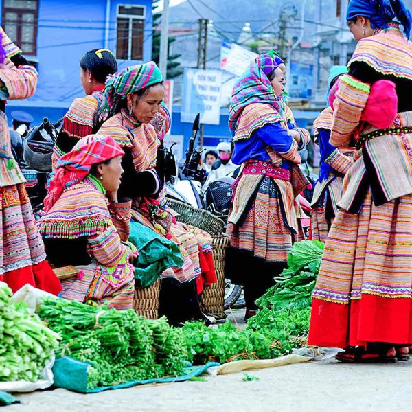 Ha Giang Loop 3 Days 2 Nights