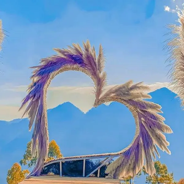 Tour Hà Giang 3 ngày 2 đêm  - Ô tô