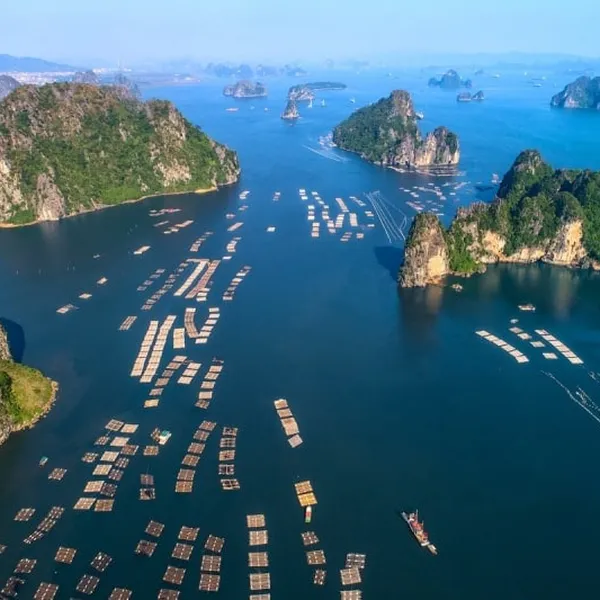 TOUR NHÓM: BẮC TRUNG VIỆT NAM CÓ KỲ NGHỈ BIỂN