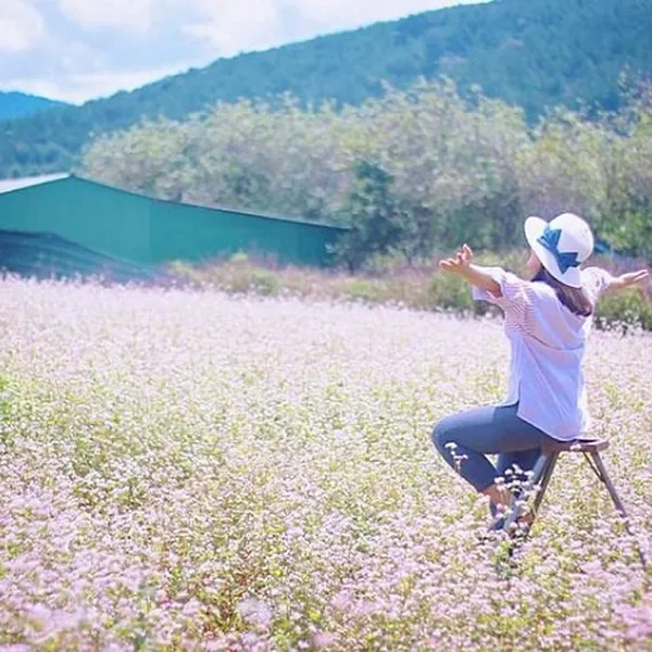 Tour Hà Giang - Hoàng Su Phì 2 Ngày 3 Đêm