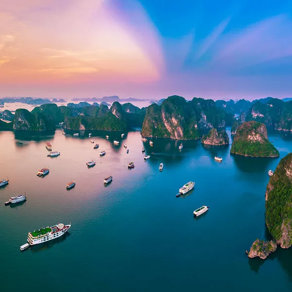 COZY BAY PREMIUM CRUISE — LUXURY 1 DAY TRIP