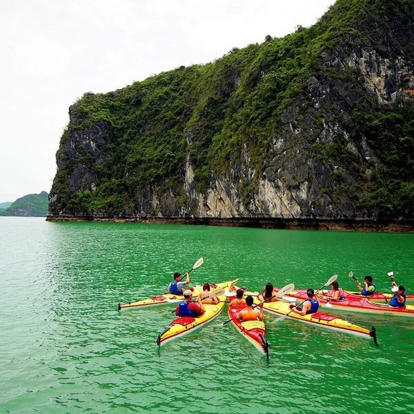 COZY BAY PREMIUM CRUISE — LUXURY 1 DAY TRIP