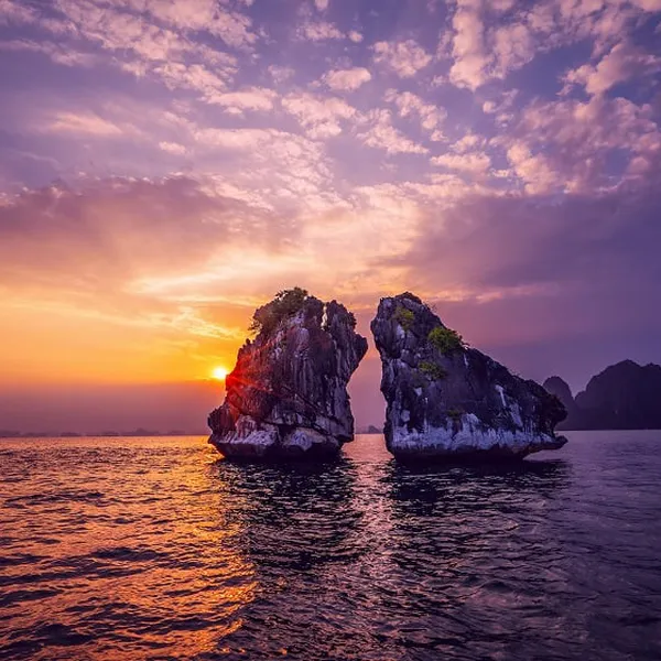 COZY BAY PREMIUM CRUISE — LUXURY 1 DAY TRIP
