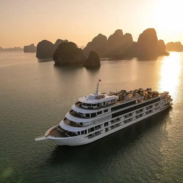 COZY BAY PREMIUM CRUISE — LUXURY 1 DAY TRIP