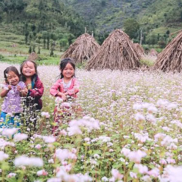 Ha Giang Loop 3 Days 2 Nights