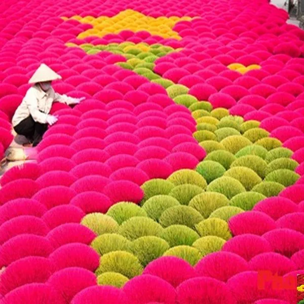 Hanoi City Tour Full Day