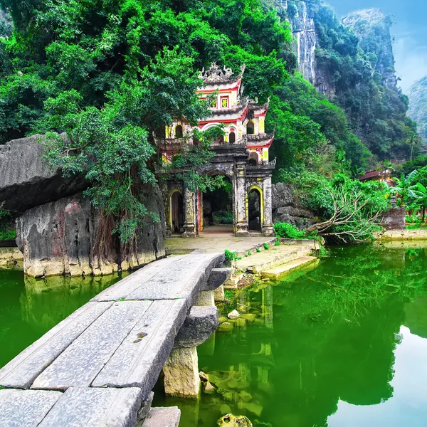 HOA LU – TRANG AN – MUA CAVE – THAI VI – BICH DONG + THUNG NHAM BIRD VALLEY 2 DAYS 1 NIGHT