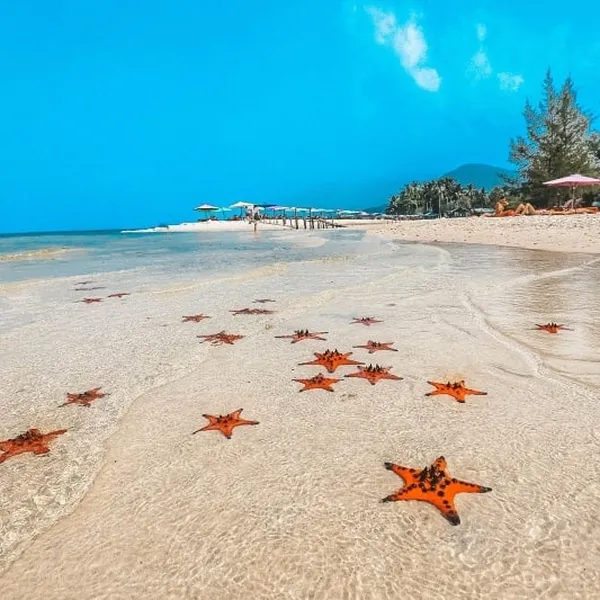 LOVELY BEACHES – NORTH AND SOUTH OF VIETNAM