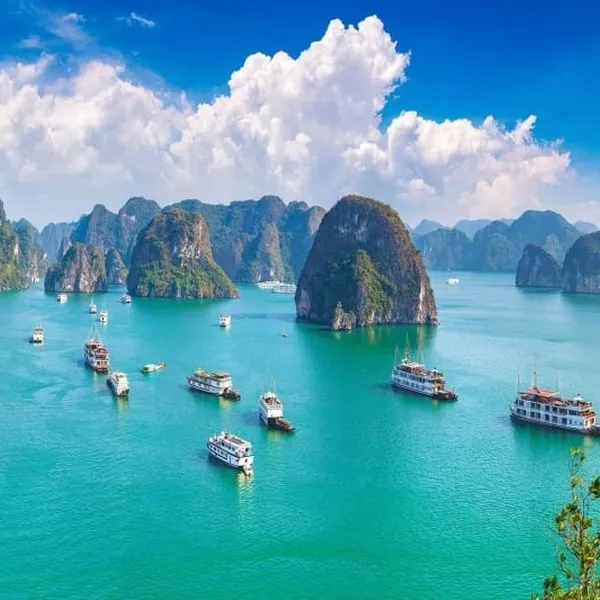 CHUYẾN ĐI TRĂNG MẬT SANG TRỌNG VỚI VIỆT NAM