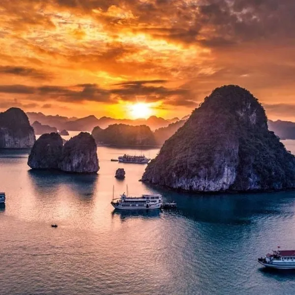CHUYẾN ĐI TRĂNG MẬT SANG TRỌNG VỚI VIỆT NAM