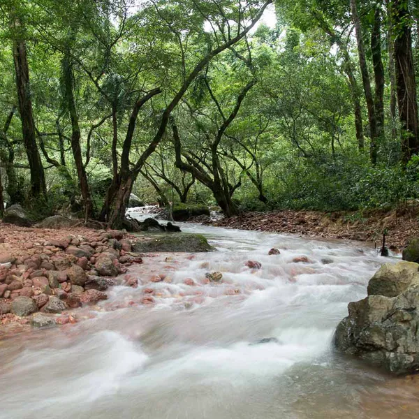 Phong Nha Trekking Tour