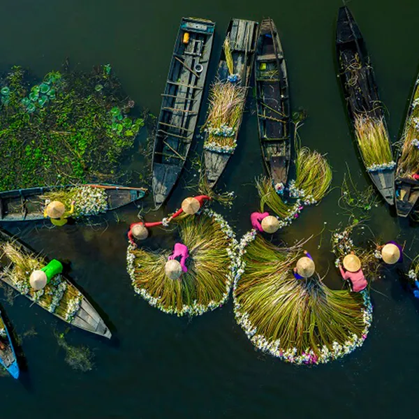 Hanoi - Ninh Binh - Halong Bay - Danang- Hoian - Cu Chi Mekong Delta (10 Day- 9night)