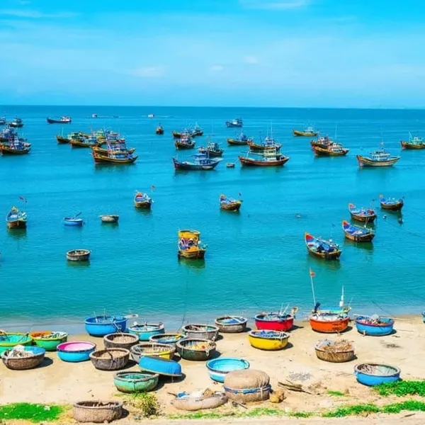 BẮC VÀ TRUNG VIỆT NAM VỚI CAO NGUYÊN VÀ BÃI BIỂN