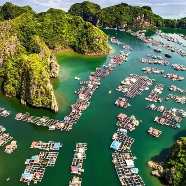 BẮC VÀ NAM VIỆT NAM