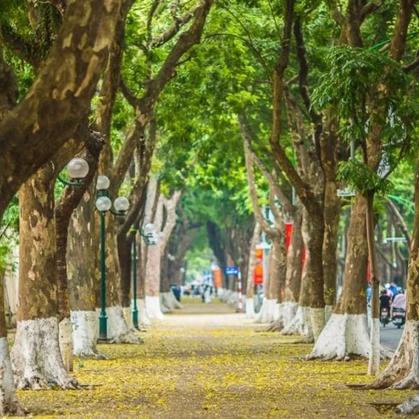 HA NOI CITY TOUR – FULL DAY