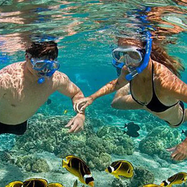 Cham Island “Corals Paradise – Natural Masterpiece”
