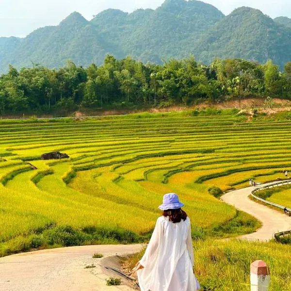 Lao Chai - Ta Van