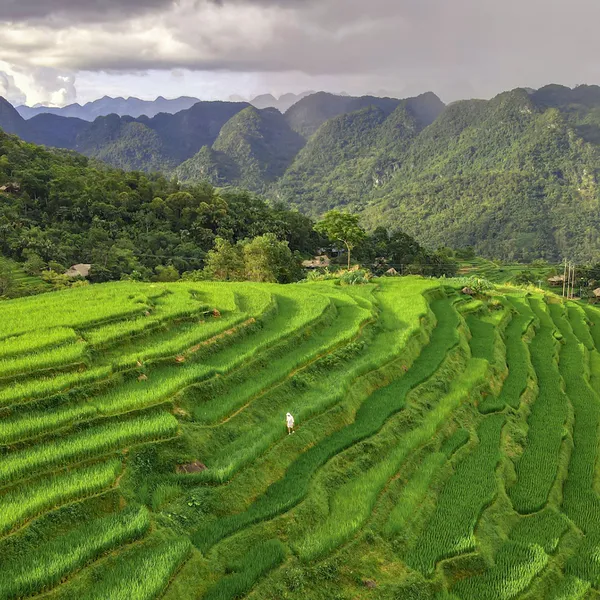 Lao Chai - Ta Van