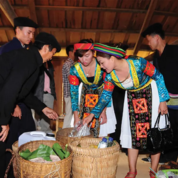 Best of North Viet Nam - Ha noi- ninh binh-ha long -sapa