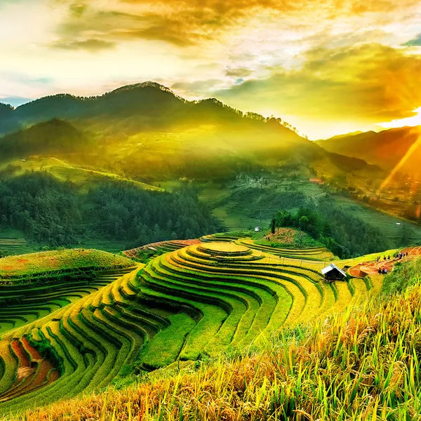 HA NOI – SAPA – FANSIPAN – HA LONG  (5 Days 4 Nights)