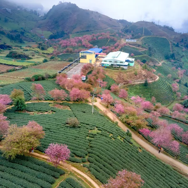 SAPA – BAC HA MARKET 3 DAYS 2 NIGHTS