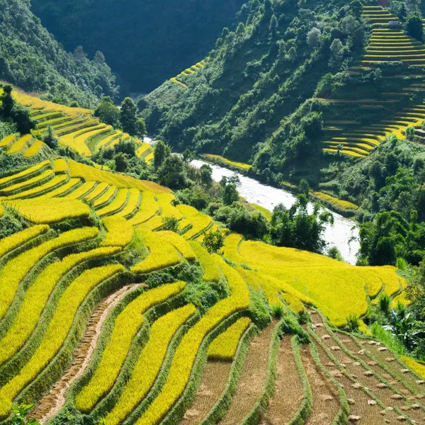 SAPA – FANSIPAN 3 DAYS 2 NIGHTS (HOTEL)