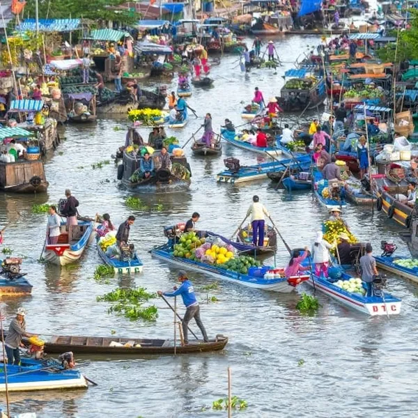 SENSES OF VIETNAM