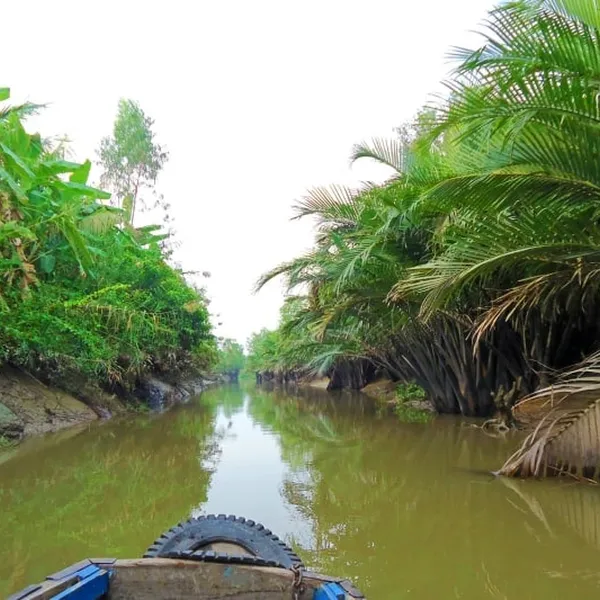 MIỀN NAM VÀ TRUNG VIỆT NAM