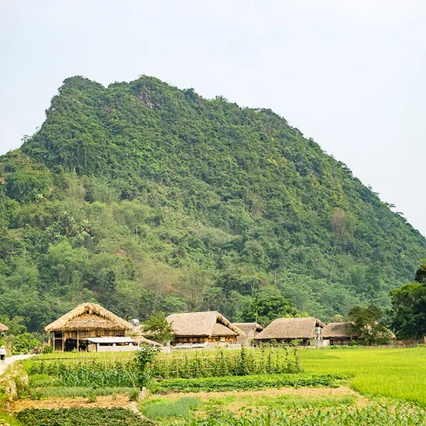Tour Hà Giang 3 ngày 2 đêm  - Ô tô