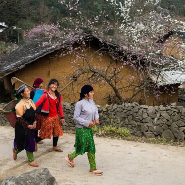 Ha Giang Loop 3 Days 2 Nights