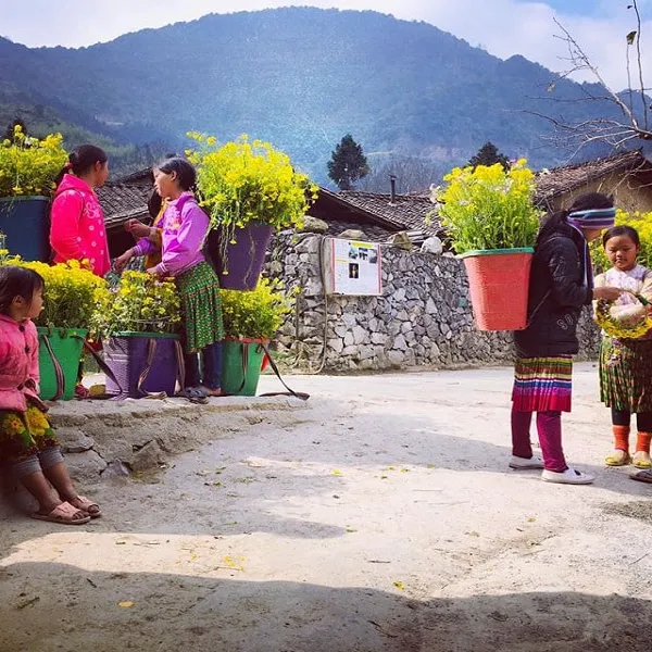 Ha Giang Loop 3 Days 2 Nights