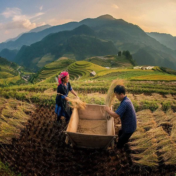 THE CLASSIC SAPA EXPERIENCE