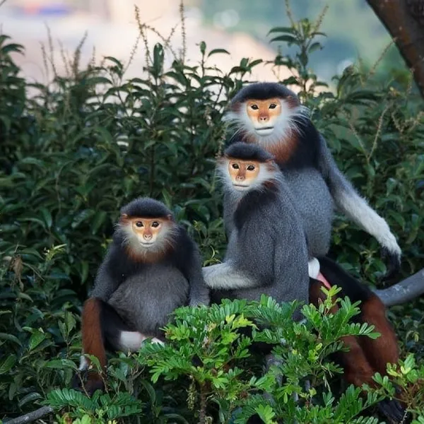 VIETNAM AT A GLANCE 10 Days 