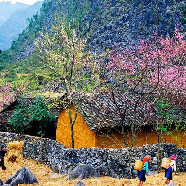 Tour phượt xe máy Hà Giang 4 ngày 4 đêm