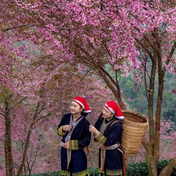 THE BOUTIQUE SAPA EXPERIENCE
