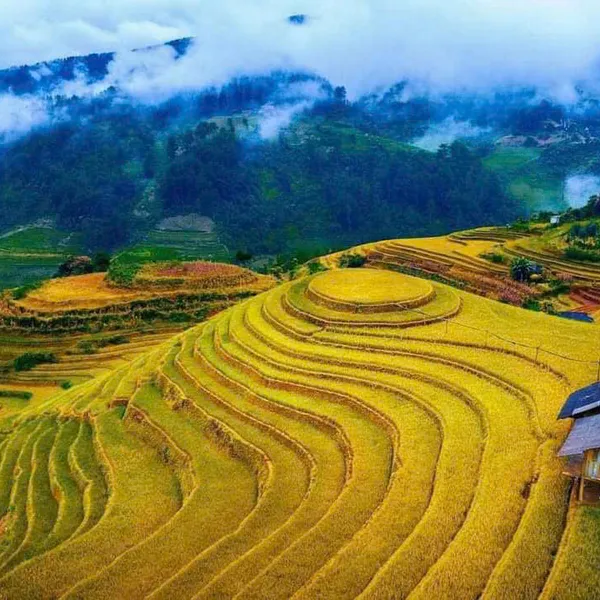 Best of North Viet Nam - Ha noi- ninh binh-ha long -sapa