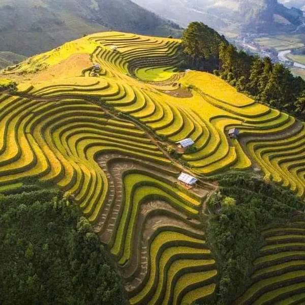 HA NOI – SAPA – FANSIPAN – HA LONG  (5 Days 4 Nights)