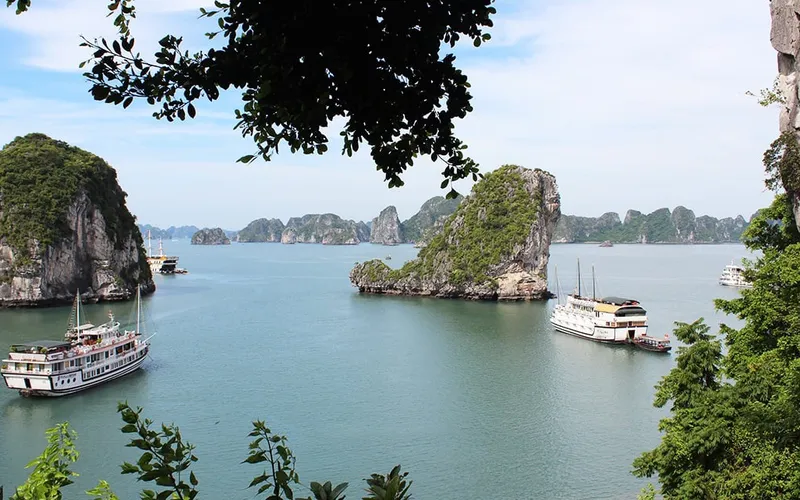 COZY BAY PREMIUM CRUISE — LUXURY 1 DAY TRIP