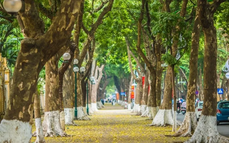 HA NOI CITY TOUR – FULL DAY