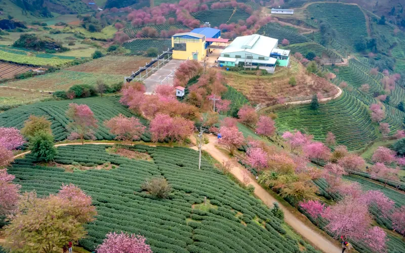 SAPA 2 DAYS 1 NIGHT (HOTEL)