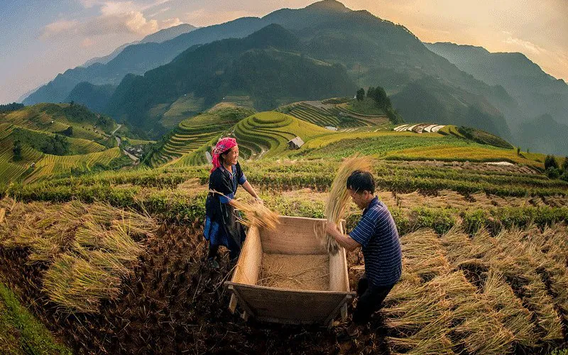 Sapa 2 Days Trekking with Mao's