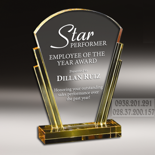 Kỷ niệm chương thủy tinh pha lê hình cánh quạt giá rẻ tphcm Kỷ niệm chương thủy tinh pha lê hình cánh quạt giá rẻ tphcm