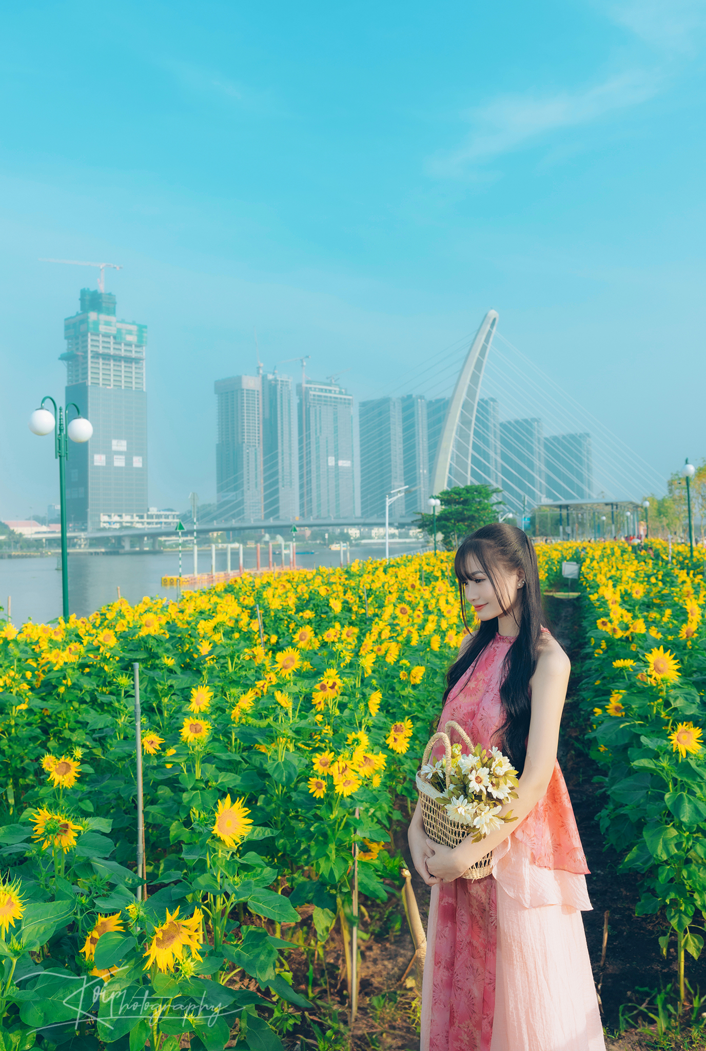 Cánh đồng hoa hướng dương Công viên Thủ Thiêm Cánh đồng hoa hướng dương Công viên Thủ Thiêm