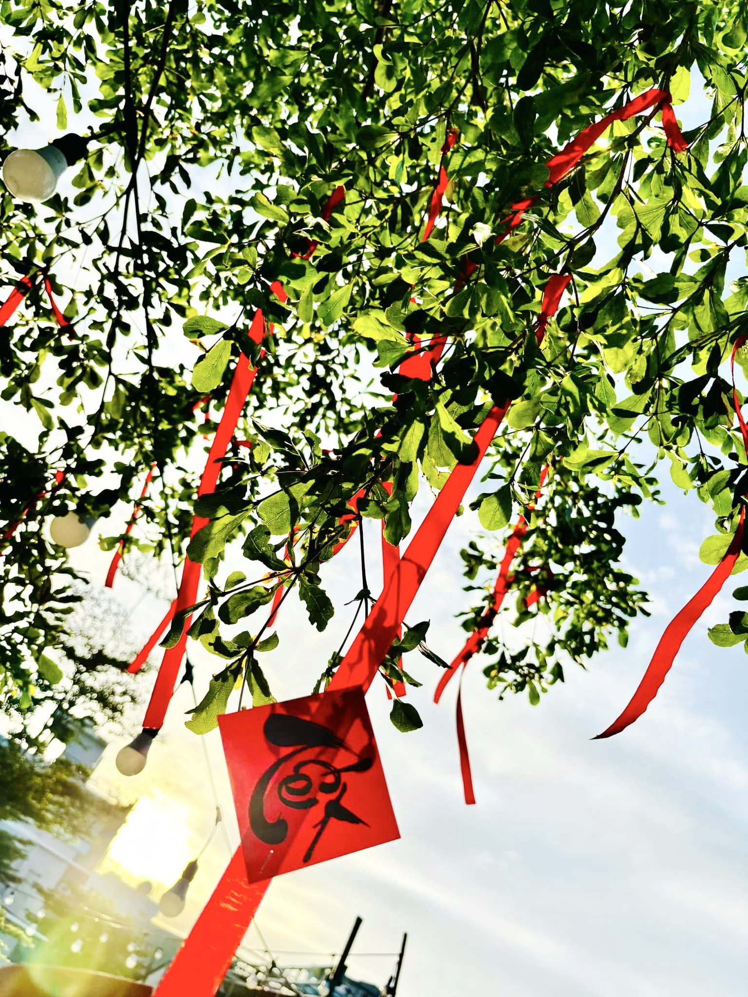 Trang trí quán cà phê nhà hàng quán ăn dịp Tết rực rỡ màu đỏ đẹp mắt và ấm cúng Trang trí quán cà phê nhà hàng quán ăn dịp Tết rực rỡ màu đỏ đẹp mắt và ấm cúng