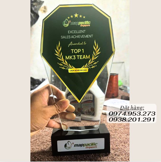 Kỷ niệm chương pha lê thuỷ tinh đẹp kiểu dáng độc đáo Kỷ niệm chương pha lê thuỷ tinh đẹp kiểu dáng độc đáo